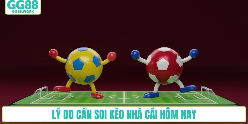 Lý do cần soi kèo nhà cái hôm nay